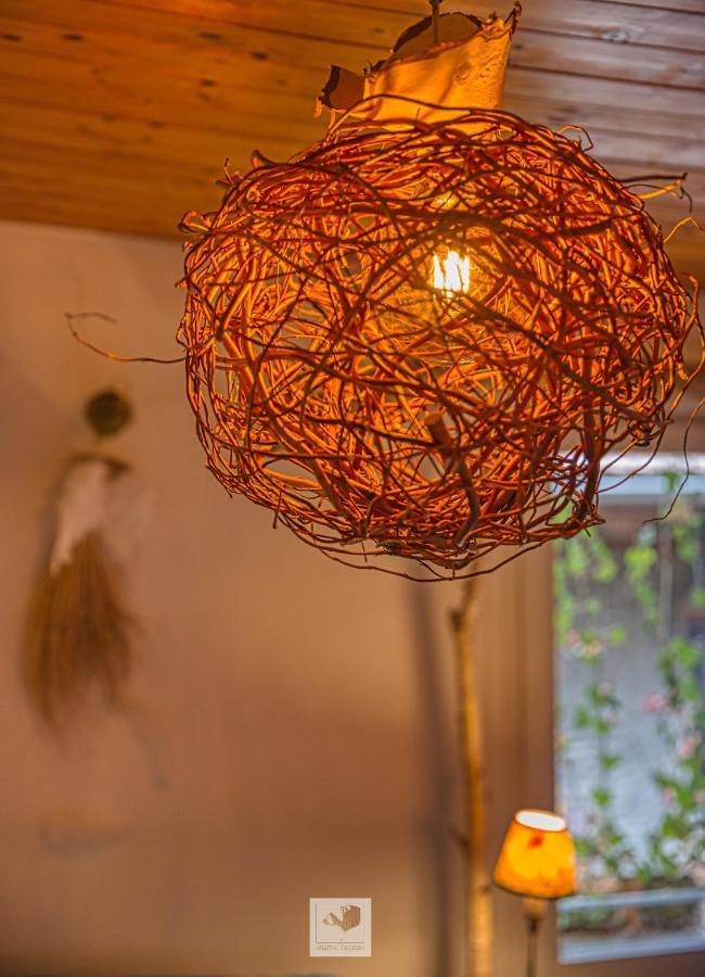 Vegetal Cocoon Apartment Annecy Exterior foto