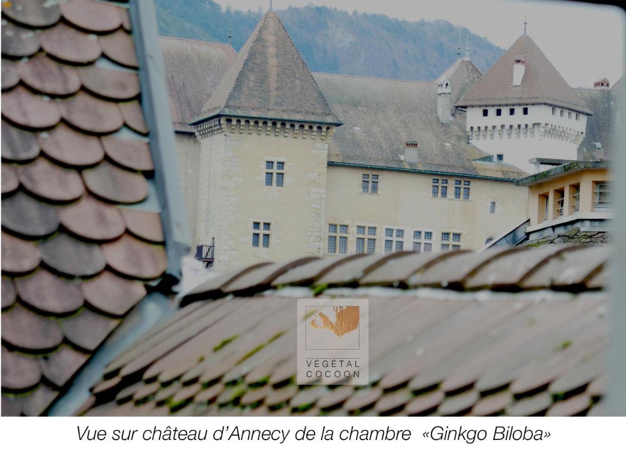 Vegetal Cocoon Apartment Annecy Exterior foto
